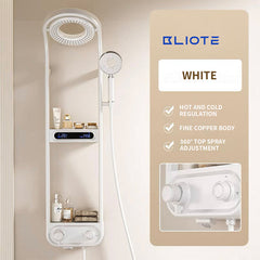 Three-Function Shower Set