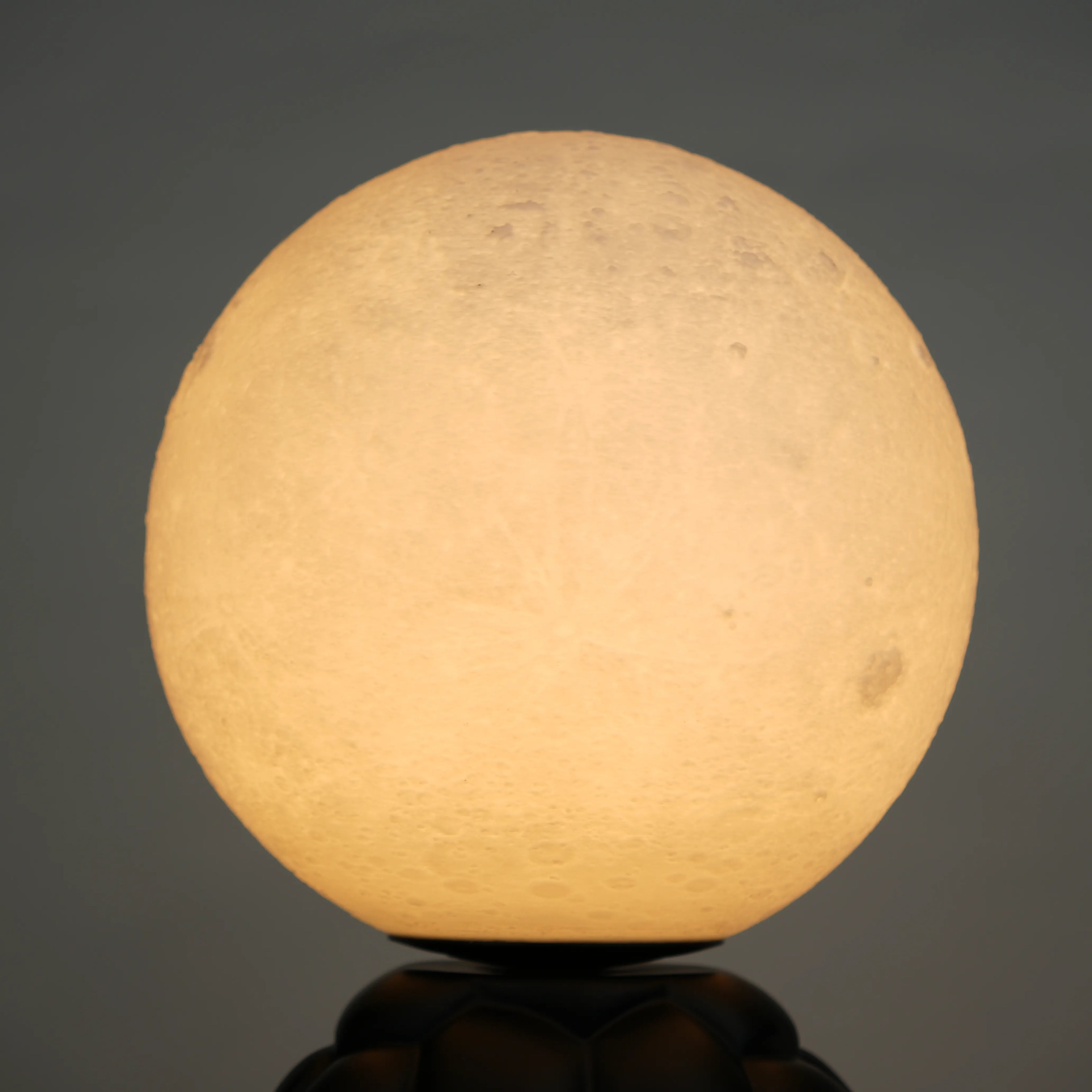 Midnight Tortoise Lamp - Black