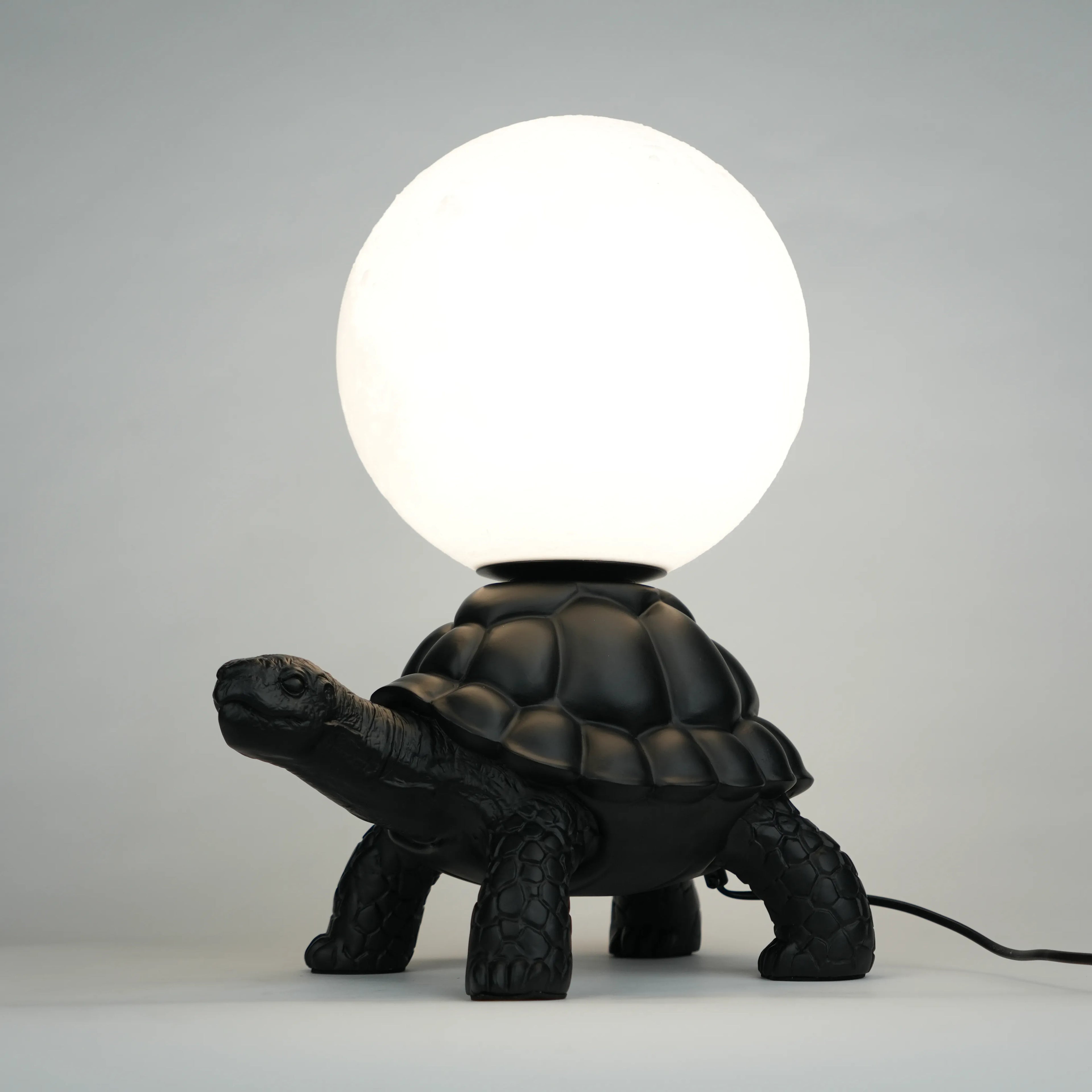 Midnight Tortoise Lamp - Black