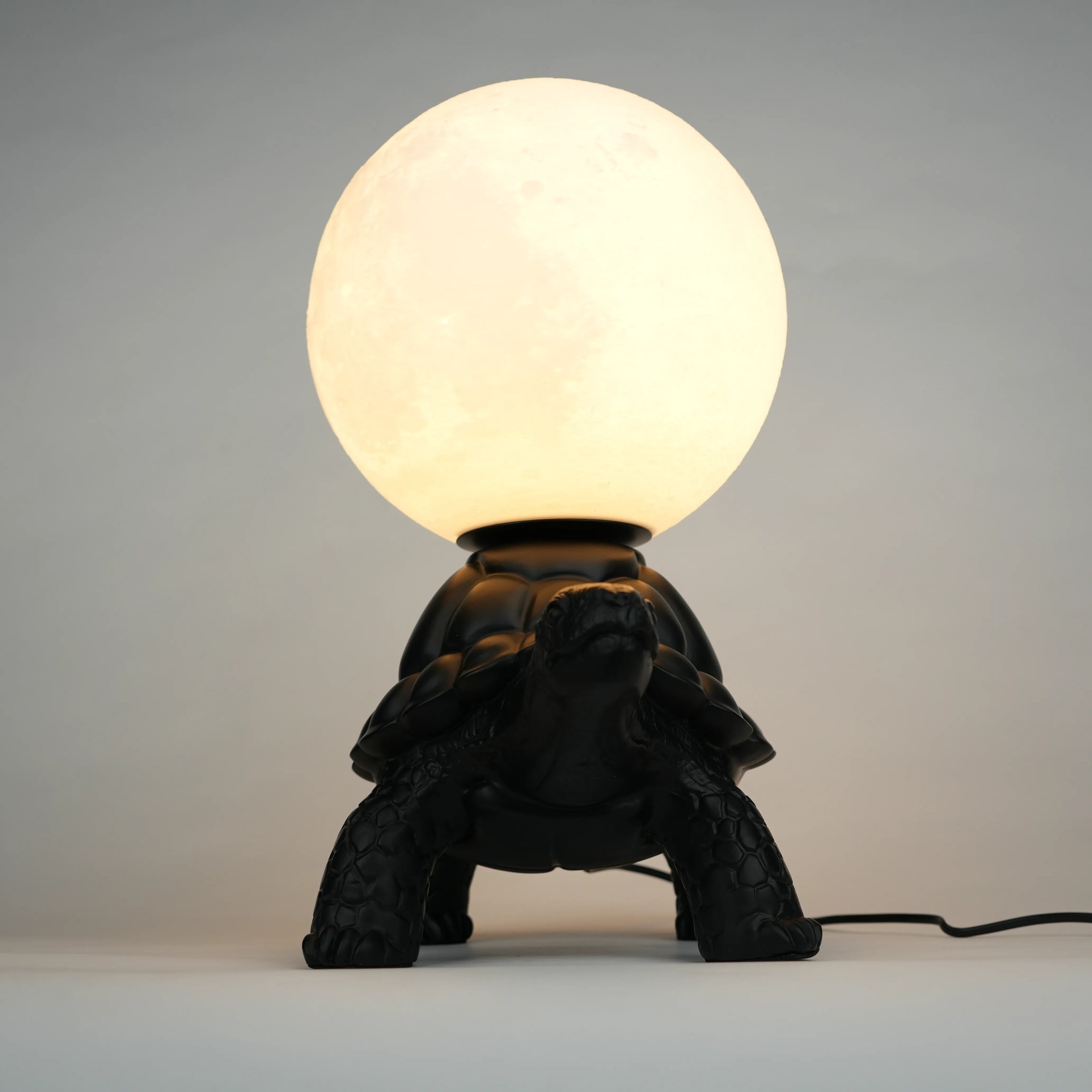 Midnight Tortoise Lamp - Black