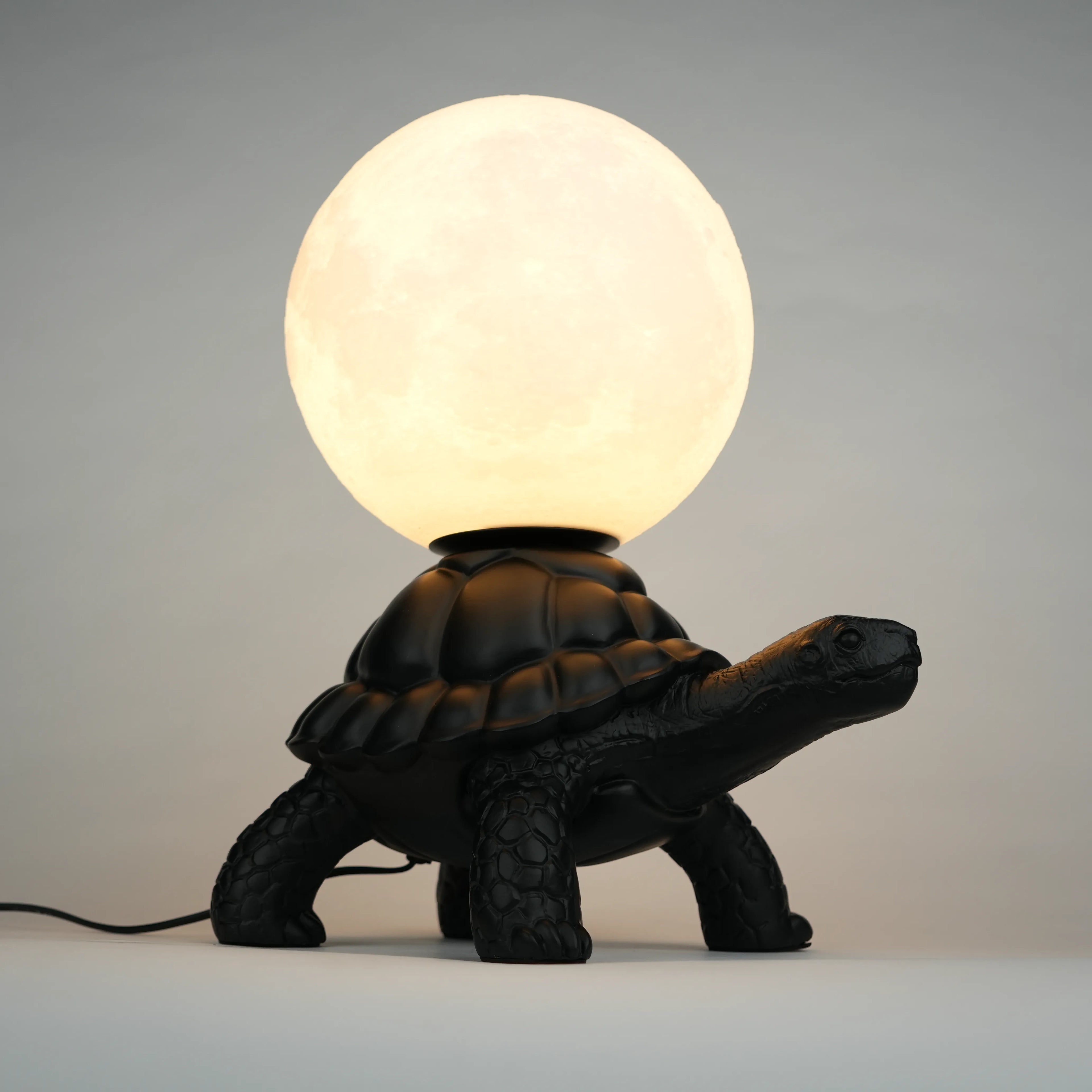 Midnight Tortoise Lamp - Black